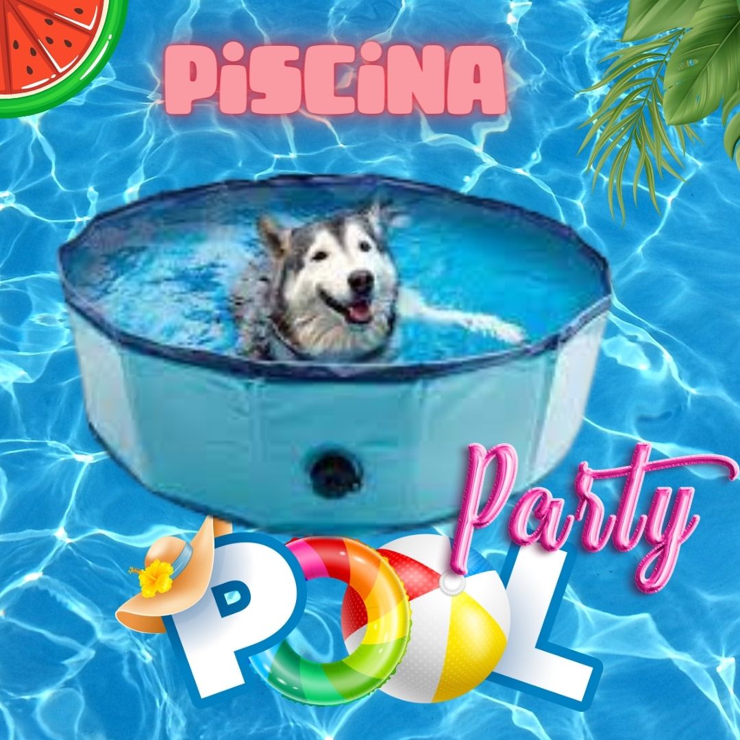 https://patitasmarket.cl/wp-content/uploads/2023/12/Blue-Colorful-Playful-Pool-Party-Invitation-Invitacion-virtual-cuadrada.jpg